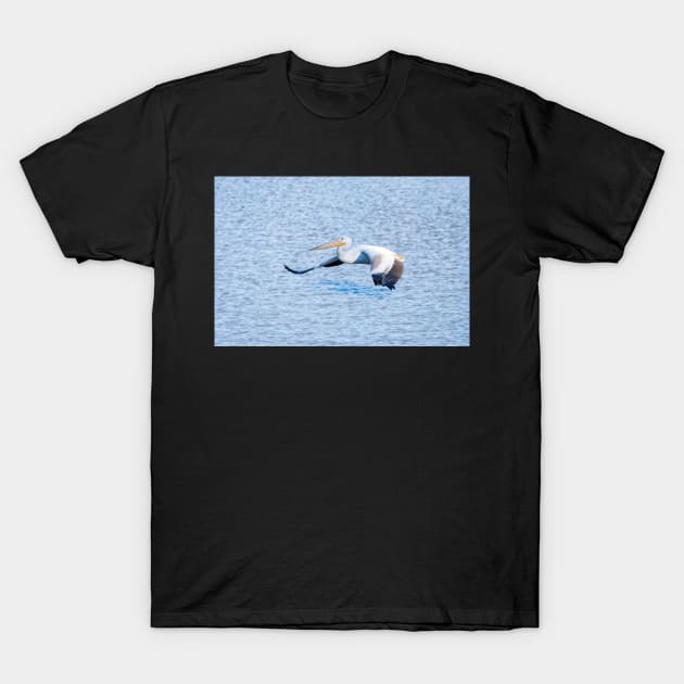 American White Pelican Gliding Along T-Shirt by Debra Martz